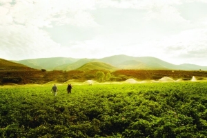 woody-creek-potato-farm